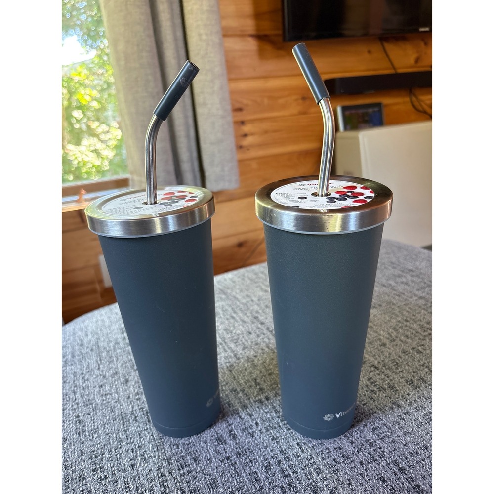 Vitamix 24oz Insulated Stainless Steel Tumbler Set of 2 Gray with Straws